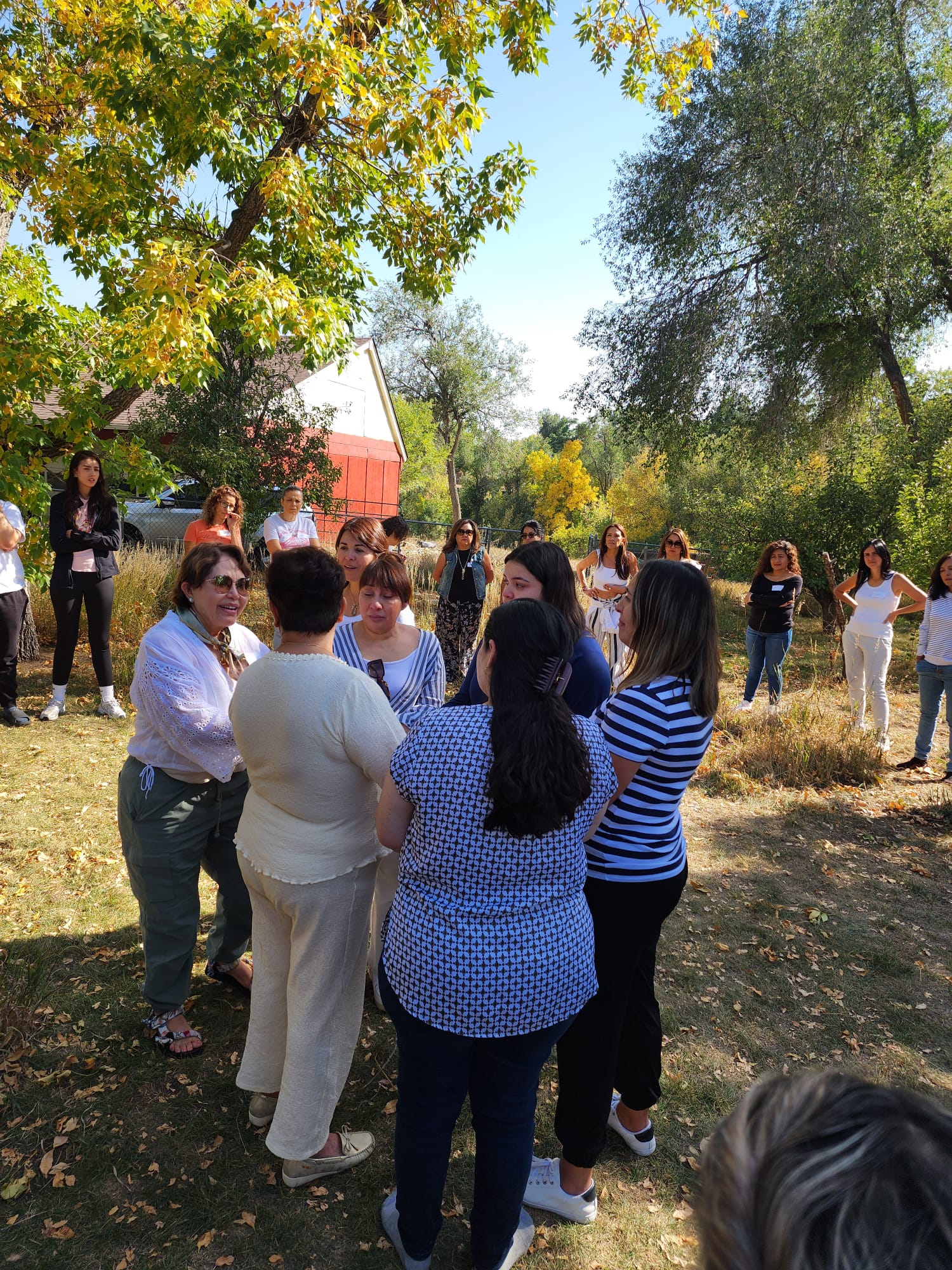 photo 2025 06 30 21 46 01(14)