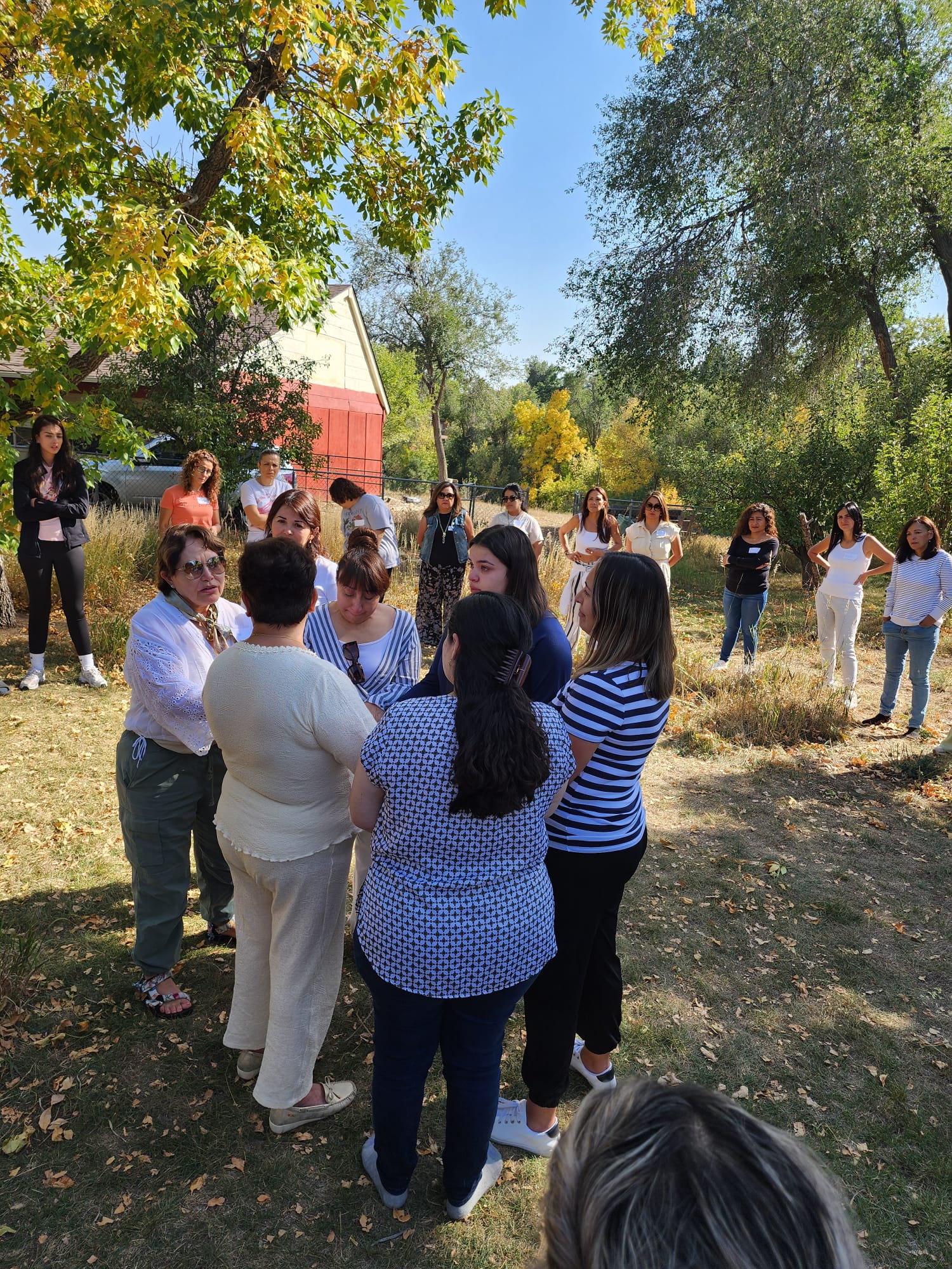 photo 2025 06 30 21 46 01(17)