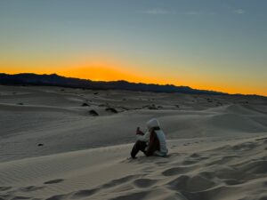 cb3c4308 d640 4e53 8033 794736fb968a