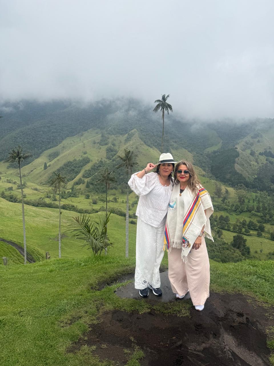 028200e4 b8b5 4d54 bd0e 0c191b8b0f46