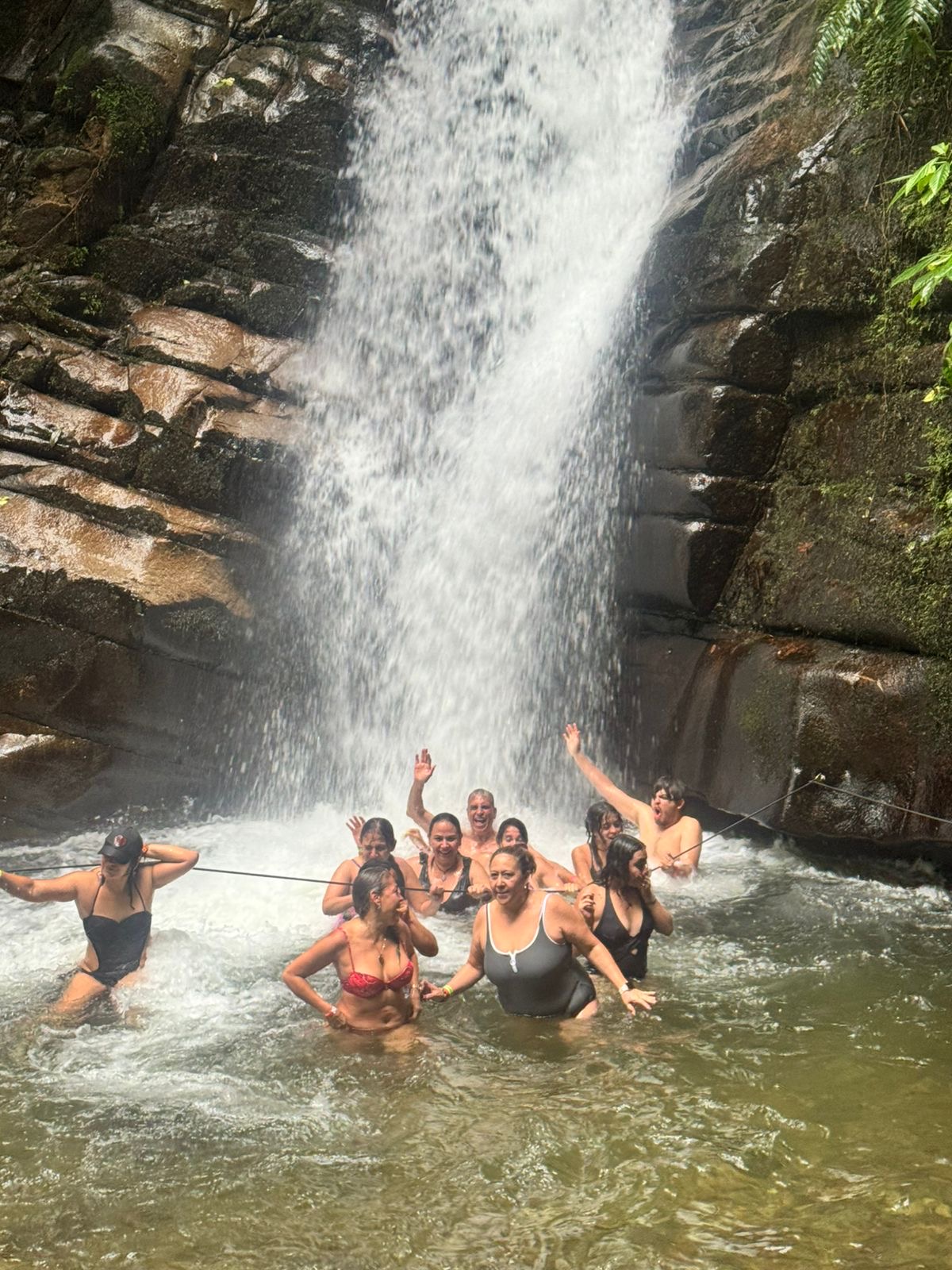 0bf72d18 1bbf 4929 afa3 b8bf37c0fd1f