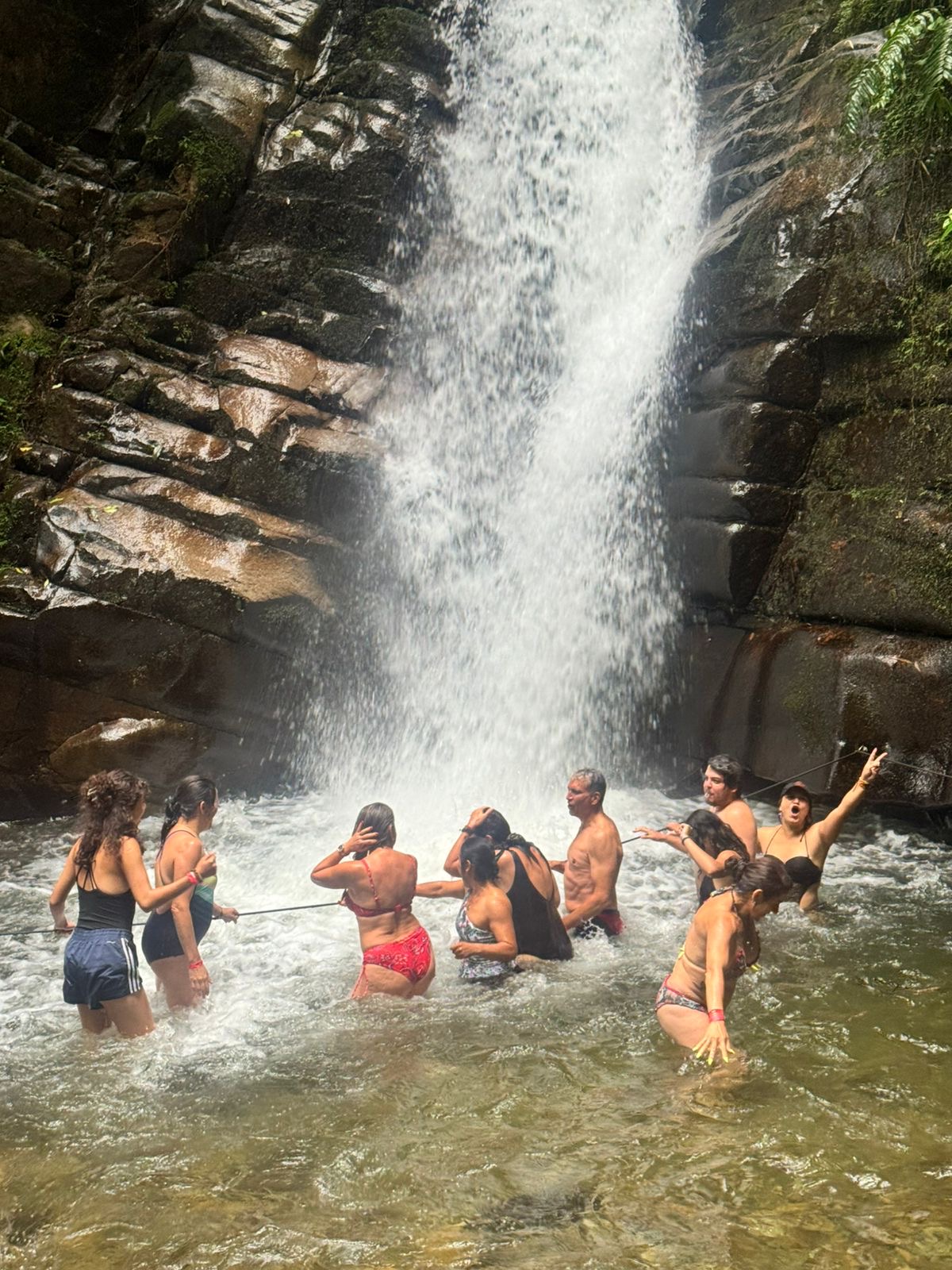 13c19faf ae4f 429d 8e40 b62b2cb63de1