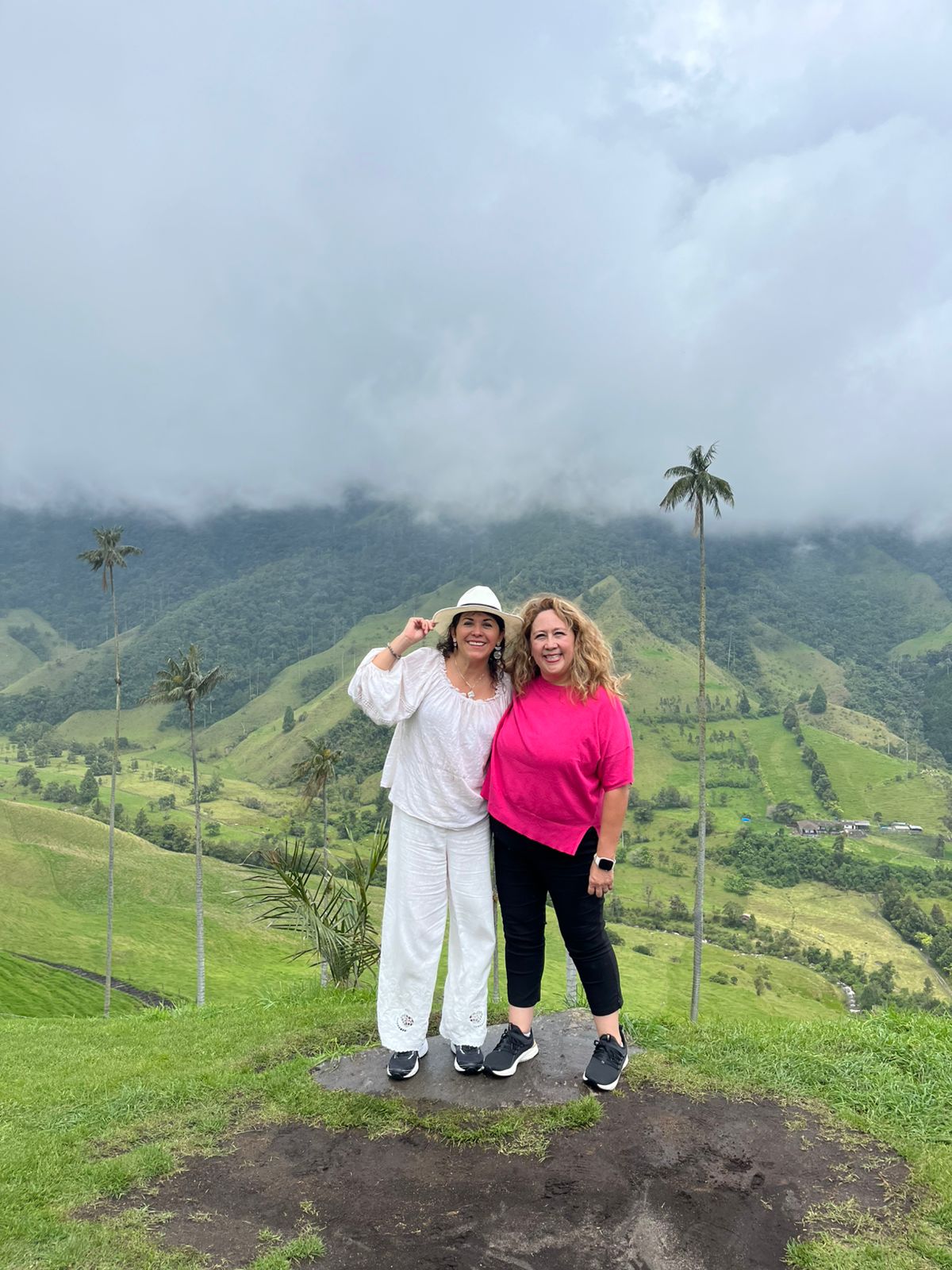 33f81e84 c477 4c9a 8fbd b01a1587a4b0