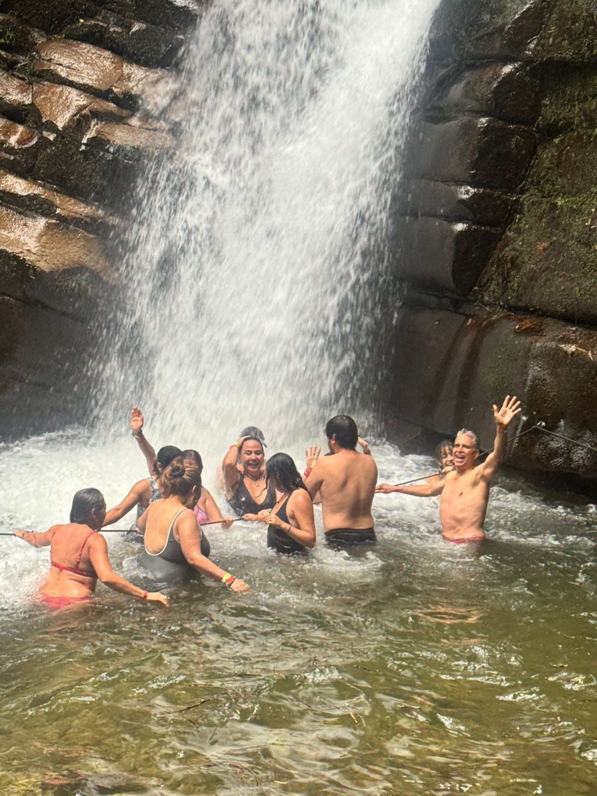 43ca6786 81a7 4433 ad9f 2b59f6083e13