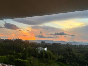 43e596c0 86de 4c2e bd0e cfefbb24b614