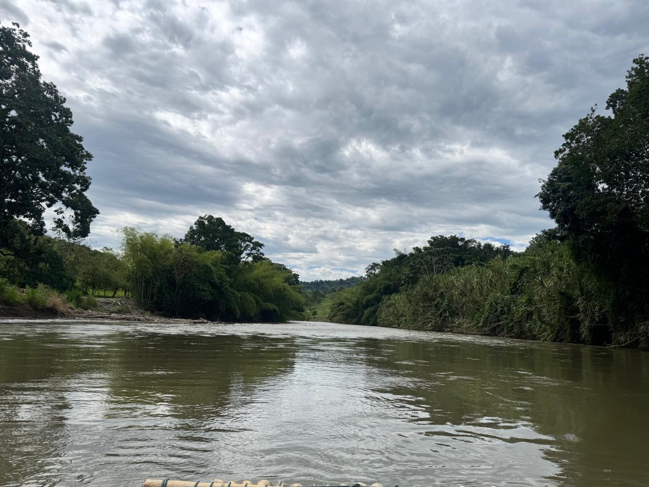 474c81e8 5873 4d9f 9020 588486e24836