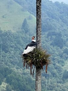 849fd780 ca02 4cee a71f 12c9cfc4ccb3