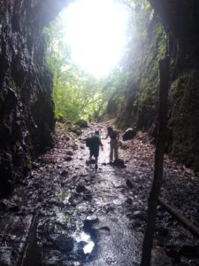 94637115 1d7e 4fea b9ea 9919007829da