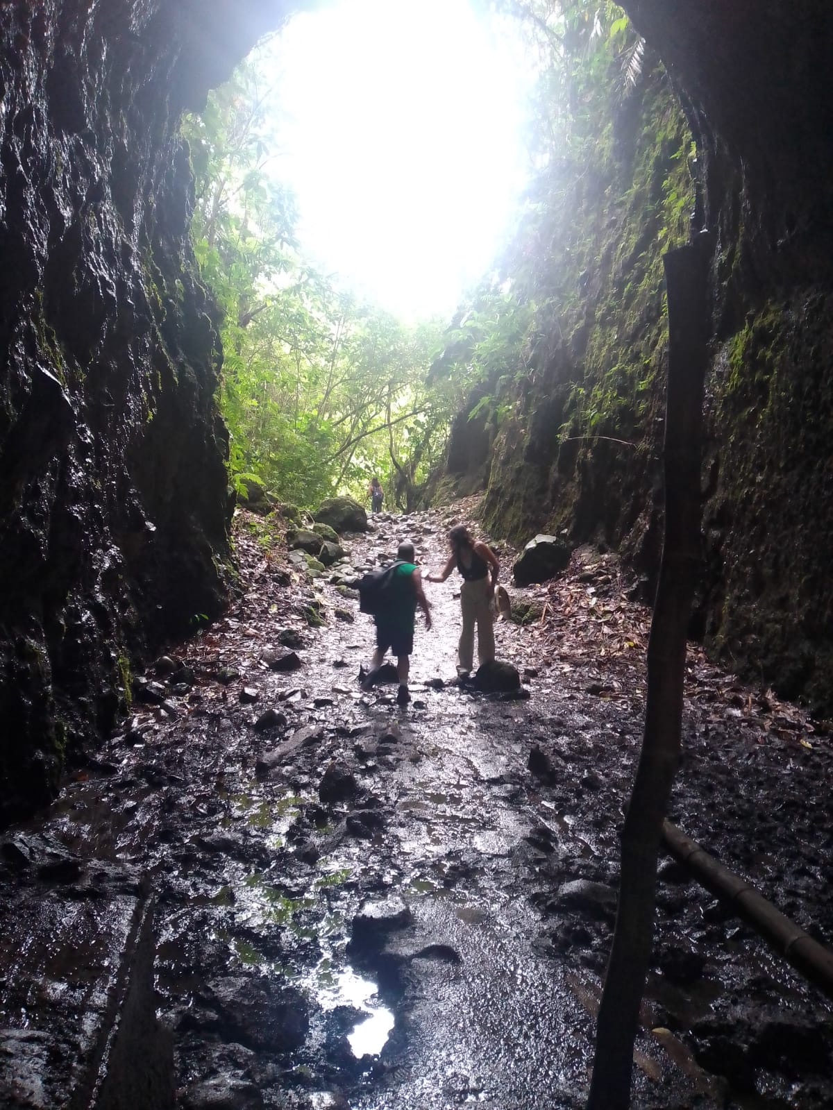 94637115 1d7e 4fea b9ea 9919007829da