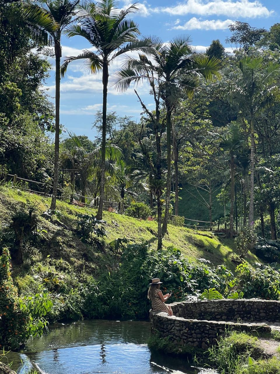 a11b3427 ccf6 4300 b0b8 e26d06c3f052