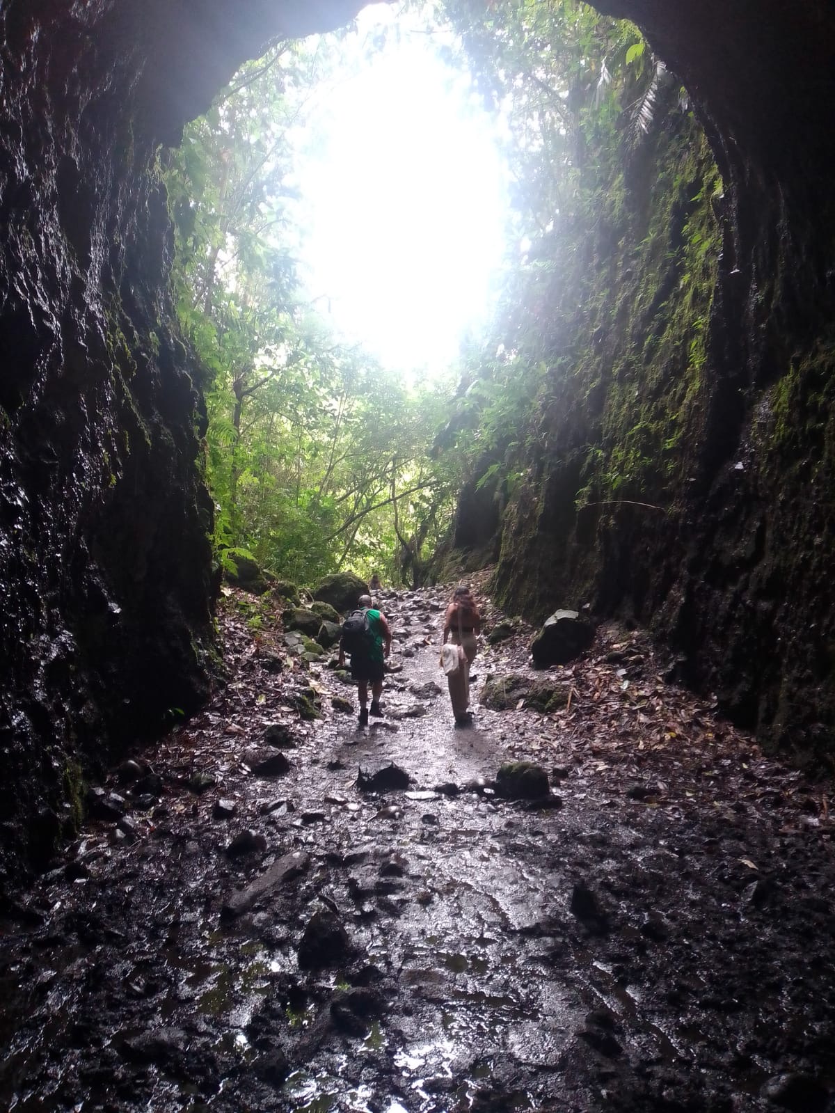 a37002a7 c315 4db4 bbdd 12b8649a1268