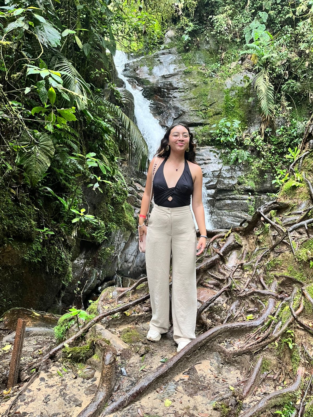 c5de1d5d 3041 4dc3 8ddd 609ed33a0f16