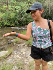 c65df625 39bb 424c 8330 2bb24c579624