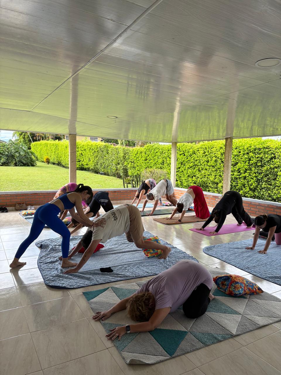 e9e221ec b50b 40a2 a9b9 d0f67ac14281