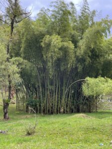 ea258257 d77b 4a8d 9f78 1b523a6a4333