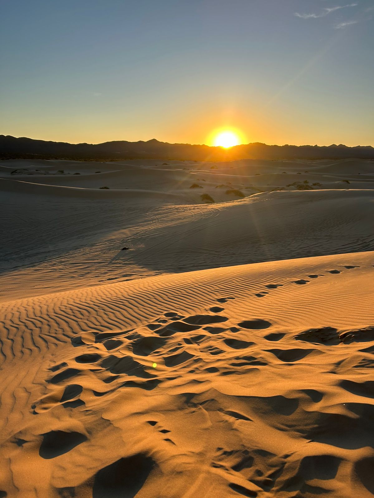 134db40c e016 47d6 b649 c81912cec62b