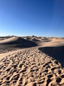 2f8d0c2f f835 4bc8 ad2d 215d7a4ac473