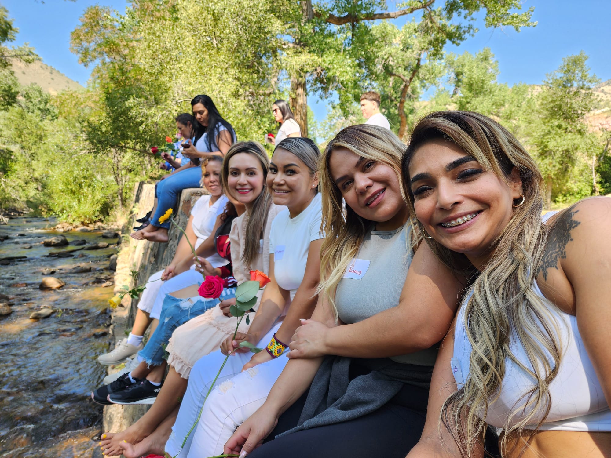 542f7b95 e486 4d3a 853f a3d8916e1178