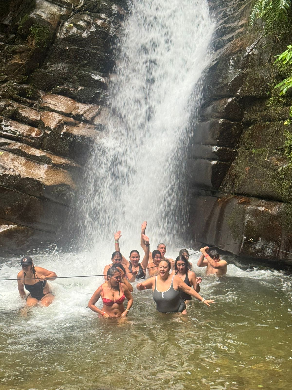 961b8ca1 60e7 41fa b49c d4e82c9b9282