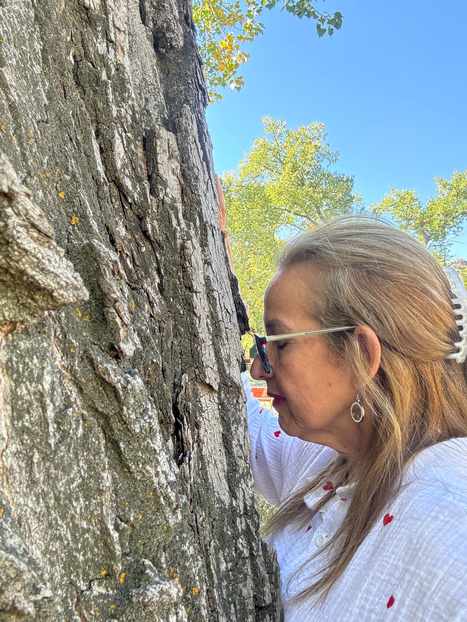 photo 2025 06 30 21 46 01(3)